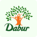 dabar dabar